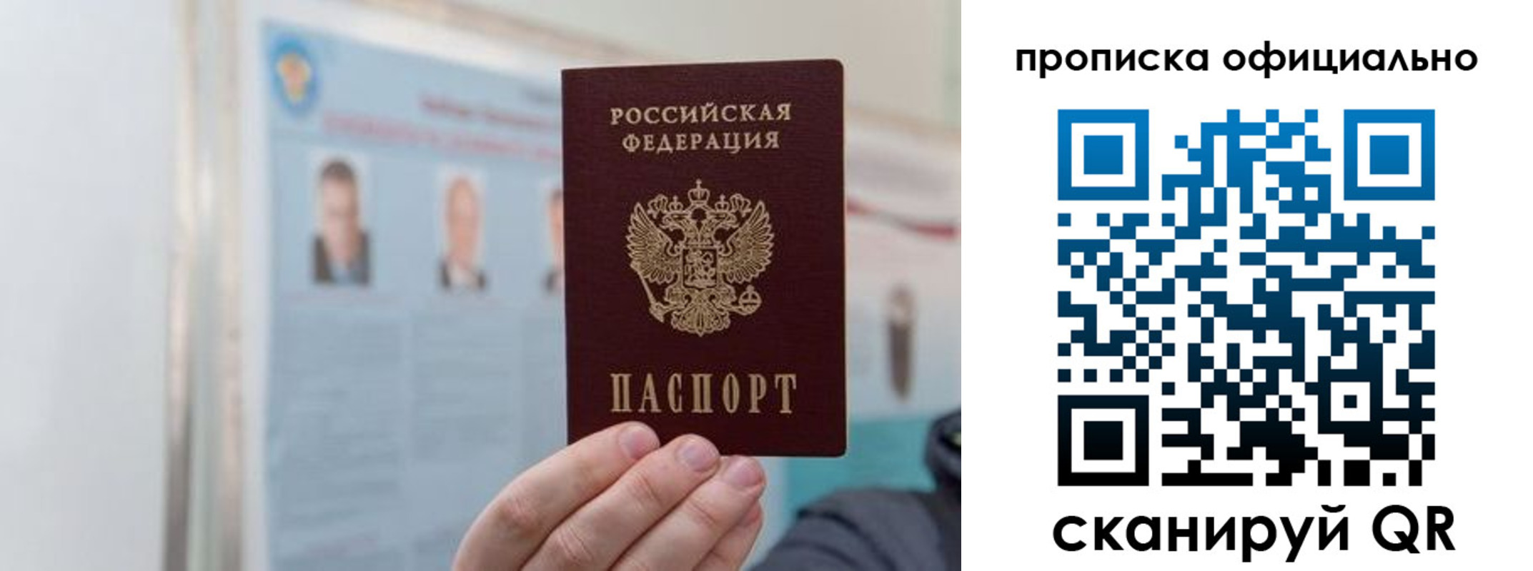 прописка гарантия в Ермолино