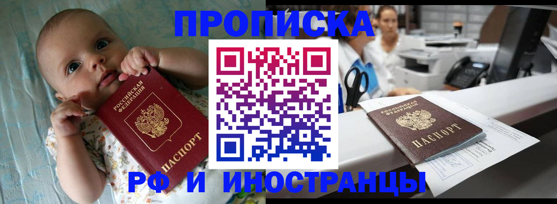 прописка поиск в Ермолино